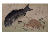Piscis Lámina giclée por Ando Hiroshige