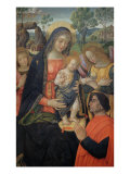 Madonna Della Pace Giclee Print by Bernardino di Betto Pinturicchio