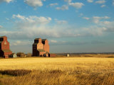 Grain Elevators Stand in a Prairie Ghost Town, Rowley, Alberta, Canada Photographic Print by Pete Ryan