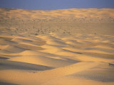 Sea of Dunes in Sahara Desert in Late Afternoon Sunlight, Sahara Desert South Of Djerba, Tunisia Photographic Print by Stephen Sharnoff
