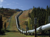 Trans-Alaska Pipeline Passing over Squirrel Creek, Chugach Range, Alaska Photographic Print by George Herben