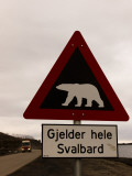 Polar Bear Crossing Sign in Svalbard, Norway, Svalbard, Norway Lámina fotográfica por Norbert Rosing