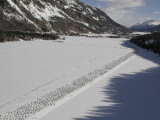 Cross Country Ski Marathon, St. Moritz, Switzerland Photographic Print by Melissa Farlow