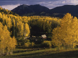 Farm Nestled Among Aspen Trees in Fall Colors and Mountains, Telluride, Colorado Photographic Print by Annie Griffiths Belt