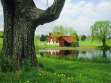 Tree Frames a View of a Farm Reflected in a Pond, Virginia Photographic Print by Annie Griffiths Belt