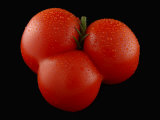 Large, Red Tomato with Three Lobes, Arlington, Massachusetts, USA Photographic Print by Darlyne A. Murawski