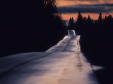 Wet Road and Silhouetted Trees at Sunset, Minnesota, United States Photographic Print by Annie Griffiths Belt