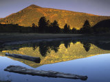 Sunlight on Francisco Peaks and Reflections, Lockett Meadow, Flagstaff, Arizona Photographic Print by David Edwards
