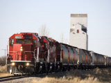 Head on View of a Freight Train, Saskatchewan, Canada Lámina fotográfica por Pete Ryan Head on View of a Freight Train, Saskatchewan, Canada Lámina fotográfica por Pete Ryan