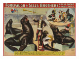 Forepaugh and Sella Brothers, Poster, 1900 Pósters Forepaugh and Sella Brothers, Poster, 1900 Pósters