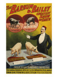Barnum and Bailey, Poster, 1900 Photographie