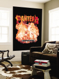 Pantera Wall Mural