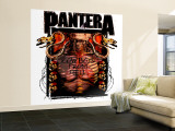 Pantera Wall Mural – Large