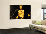 Sex Pistols Wall Mural