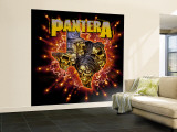 Pantera Wall Mural – Large
