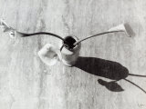Vase with Three Lilies Photographie par Vincenzo Balocchi
