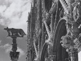 Facade of the Duomo in Siena, Detail Photographic Print by Vincenzo Balocchi