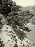 S. Margherita Ligure Links with Portofino, Near the Locality of Parraggi Lámina fotográfica por Vincenzo Balocchi S. Margherita Ligure Links with Portofino, Near the Locality of Parraggi Lámina fotográfica por Vincenzo Balocchi