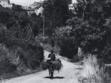 Man on Mule on a Country Road Fotografiskt tryck av Vincenzo Balocchi Man on Mule on a Country Road Fotografiskt tryck av Vincenzo Balocchi