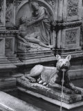 Creation of Adam, Detail from the Gaia Fountain, Piazza Del Campo, Siena Photographic Print by Vincenzo Balocchi