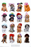 Puppies with Hats Posters by Keith Kimberlin