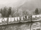 Countryside with Laundry Hanging on the Line Fotografisk trykk av Vincenzo Balocchi Countryside with Laundry Hanging on the Line Fotografisk trykk av Vincenzo Balocchi