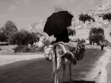 Pack Mule on a Street in the Hills Fotografiskt tryck av Vincenzo Balocchi Pack Mule on a Street in the Hills Fotografiskt tryck av Vincenzo Balocchi