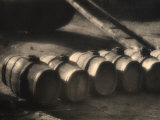 Row of Casks in a Cellar Photographie par Ludovico Pacho