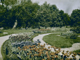 Bagatelle Garden at Cannes Photographie par Henrie Chouanard
