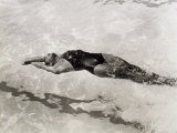 View from Above of a Swimmer in a Pool Doing the Backstroke Photographic Print by A. Villani