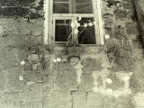 Vase of Flowers under a Window on the External Wall of an Old House Photographie par Vincenzo Balocchi