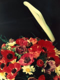 Bouquet of Anemone, Daisies and Ferns Photographic Print by A. Villani