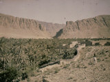Oasis at Al Kantara, Tunisia Photographic Print by Henrie Chouanard