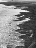 Debris Photographic Print by Luciano Ferri