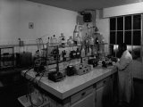 Section of the Lombardi Factory in Ferrara Photographic Print by A. Villani