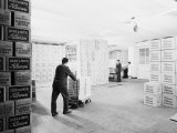 Interior of One of the Alberani Pharmaceutical Company Warehouses, Bologna Photographic Print by A. Villani