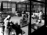 Technicians Working in a Pharmaceutical Laboratory in the Glaxo Factory Photographic Print by A. Villani