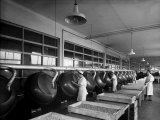 The Jam Department at the Motta Factory in Milan Photographic Print by A. Villani