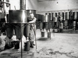 Workers Busy in a Brewery Photographic Print by A. Villani