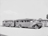 Trenobus of the Most Direct Line Imola-Bologna Photographic Print by A. Villani