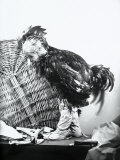 Child Dressed as a Cockerel Lámina fotográfica por Marion Wulz