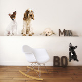 Hunde Wandabziehbild