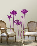 Purple Agapanthus Veggoverføringsbilde