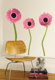 Pink Poppies Veggoverføringsbilde