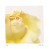 Pastel Study 11 Edición limitada por Claude Peschel Dutombe