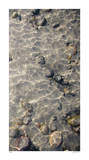 Ocean Ripples III Edición limitada por Joy Doherty Ocean Ripples III Edición limitada por Joy Doherty