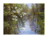 Spring Reflections I Edición limitada por Carol Buettner