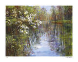 Spring Reflections I Limited Edition by Carol Buettner