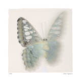 Butterfly Study 6 Edition limitée par Claude Peschel Dutombe