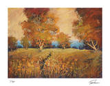 Golden Walk I Limited Edition by Michael Tienhaara